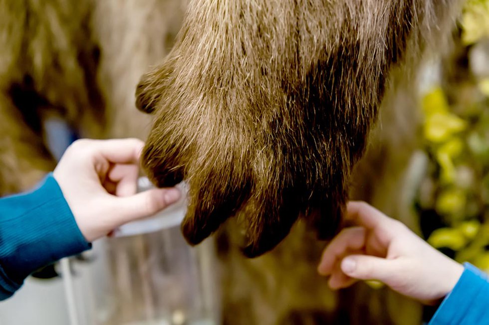 NKMP_öffentliche_Familienführung_Druck_03.jpg