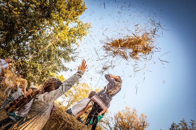 Herbstfest im Volkspark Potsdam