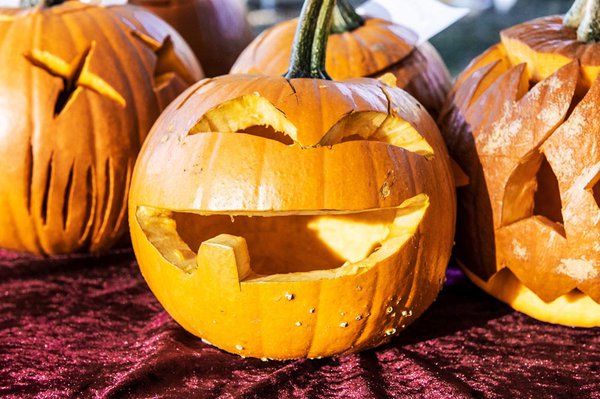 Herbstfest im Volkspark Potsdam