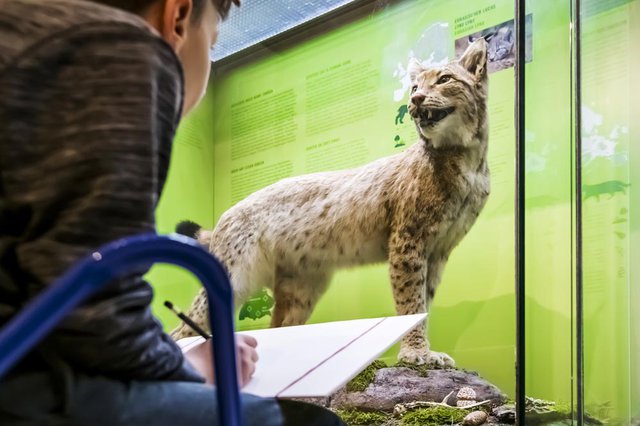 NKMP_Zeichenkurs_Kinder_25Jan2020_Druck_01.jpg