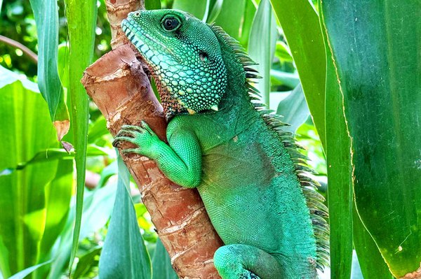 Biosphaere-Potsdam_Wasseragame_Emmelie-Munack.jpg